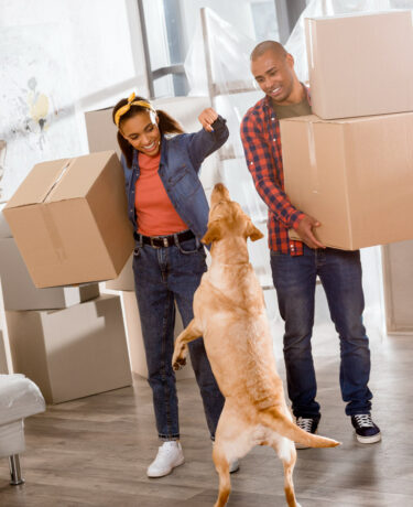 Couple and their dog packing up with Long-Distance Movers in Aldine, Texas